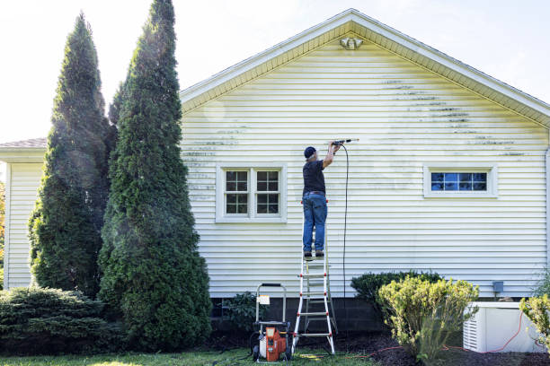 Best Best Pressure Washing Companies  in National City, CA