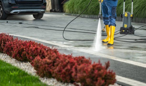 Best Roof Power Washing Services  in National City, CA